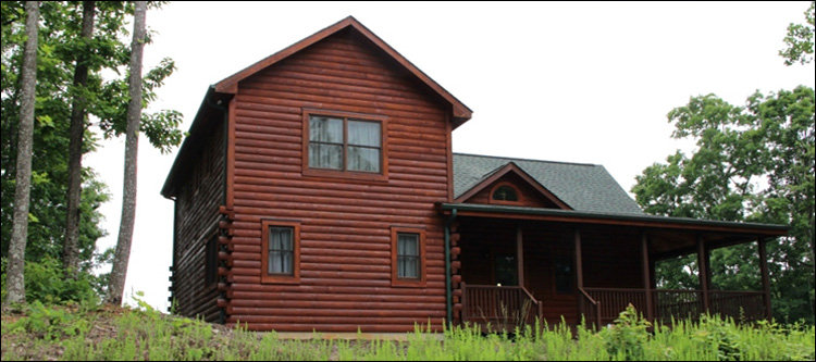 Professional Log Home Borate Application  Floyd County, Virginia